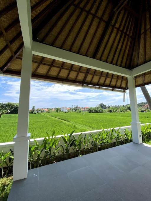 Villa Vespa Lovina Exterior photo