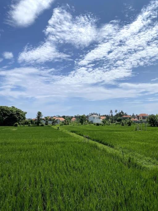 Villa Vespa Lovina Exterior photo